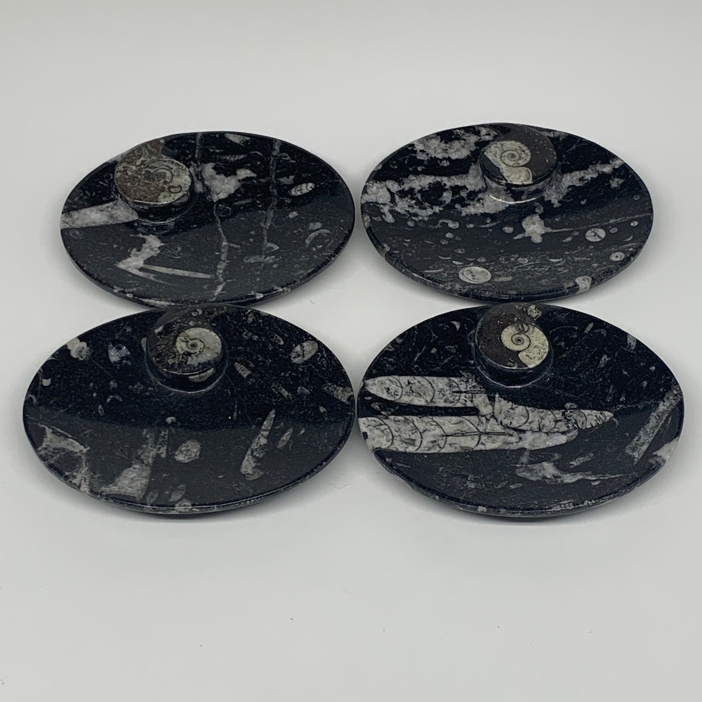 726g, 4pcs, 4.7"x3.8" Small Black Fossils Ammonite Orthoceras Bowl Oval Ring,B88