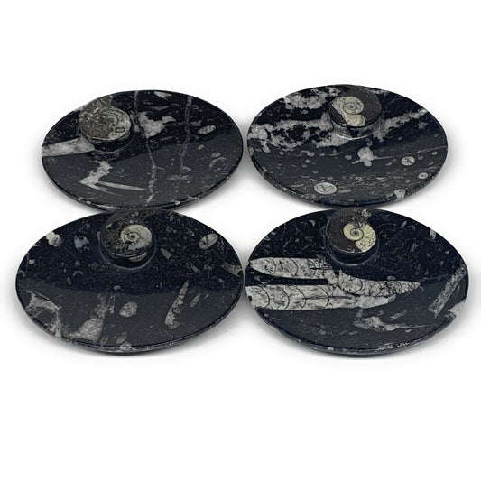 726g, 4pcs, 4.7"x3.8" Small Black Fossils Ammonite Orthoceras Bowl Oval Ring,B88