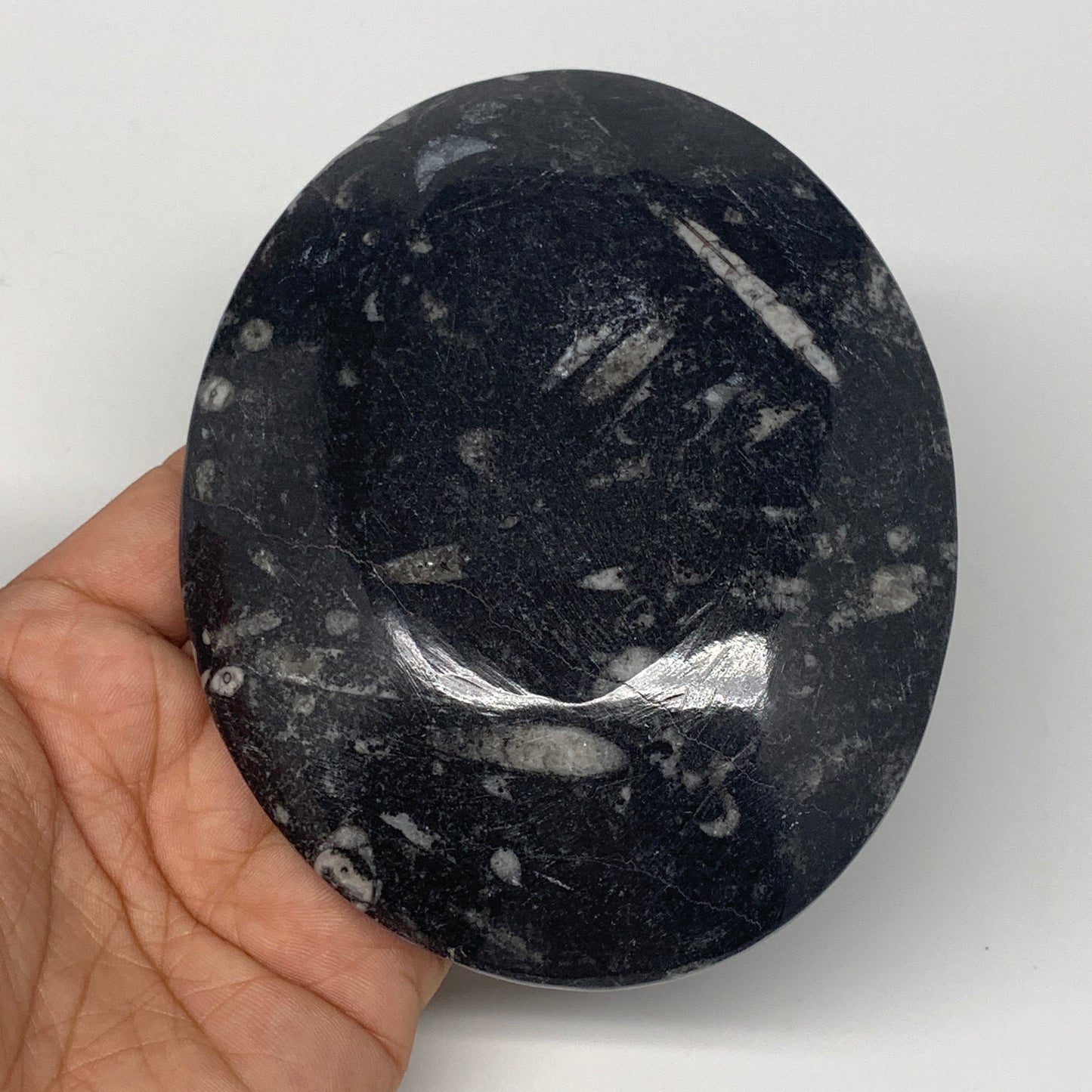 726g, 4pcs, 4.7"x3.8" Small Black Fossils Ammonite Orthoceras Bowl Oval Ring,B88