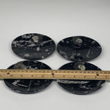 726g, 4pcs, 4.7"x3.8" Small Black Fossils Ammonite Orthoceras Bowl Oval Ring,B88