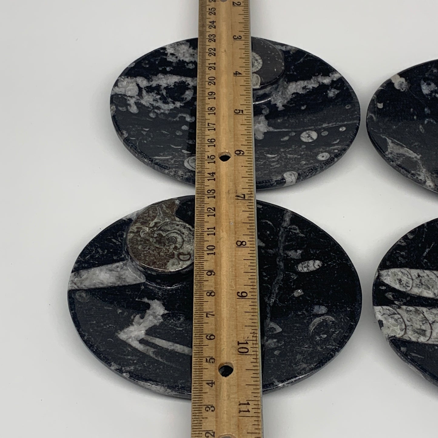 726g, 4pcs, 4.7"x3.8" Small Black Fossils Ammonite Orthoceras Bowl Oval Ring,B88