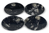 710g, 4pcs, 4.7"x3.8" Small Black Fossils Ammonite Orthoceras Bowl Oval Ring,B88