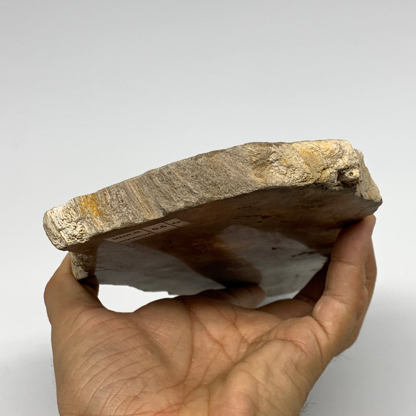 655g,8.25"x4.5"x0.6" Petrified Wood Slab Tree Branch Specimen, Minerals, B22675