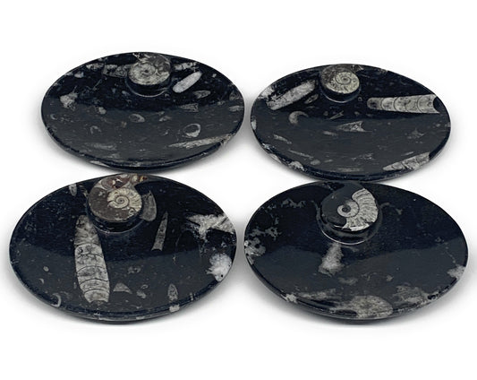 758g, 4pcs, 4.7"x3.8" Small Black Fossils Ammonite Orthoceras Bowl Oval Ring,B88