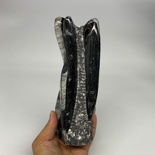 945g, 7.5"x2.9"x2.5" Black Fossils Orthoceras Sculpture Tower @Morocco, B23434