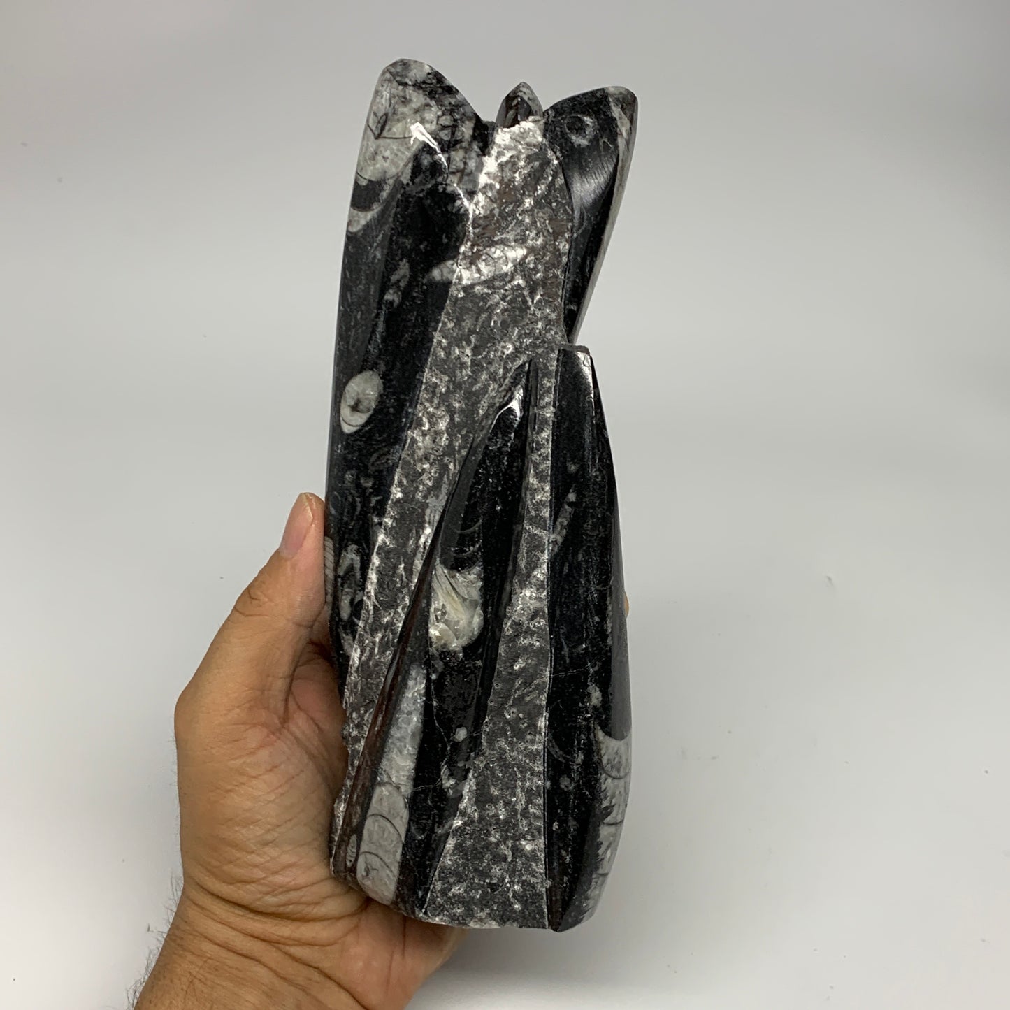 945g, 7.5"x2.9"x2.5" Black Fossils Orthoceras Sculpture Tower @Morocco, B23434