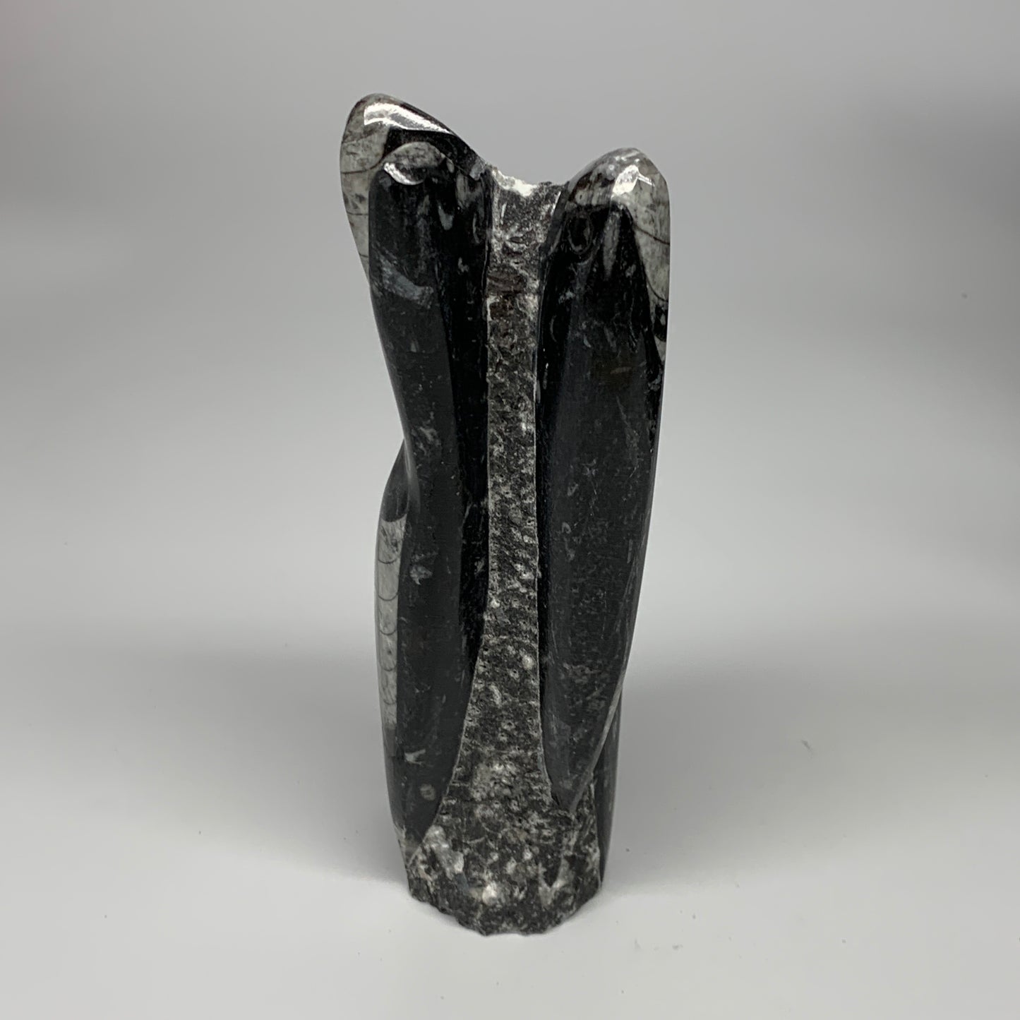 945g, 7.5"x2.9"x2.5" Black Fossils Orthoceras Sculpture Tower @Morocco, B23434