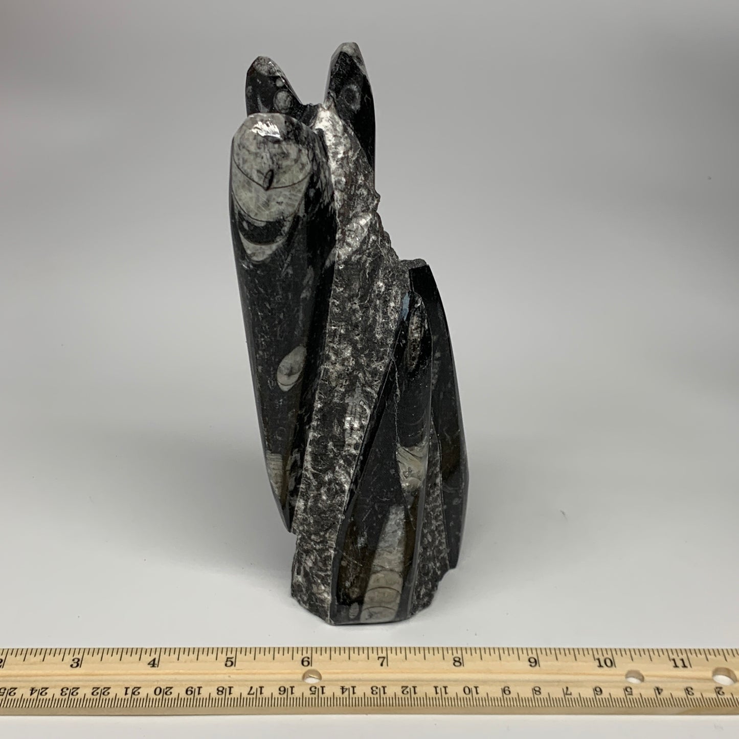 945g, 7.5"x2.9"x2.5" Black Fossils Orthoceras Sculpture Tower @Morocco, B23434