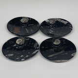 720g, 4pcs, 4.7"x3.8" Small Black Fossils Ammonite Orthoceras Bowl Oval Ring,B88