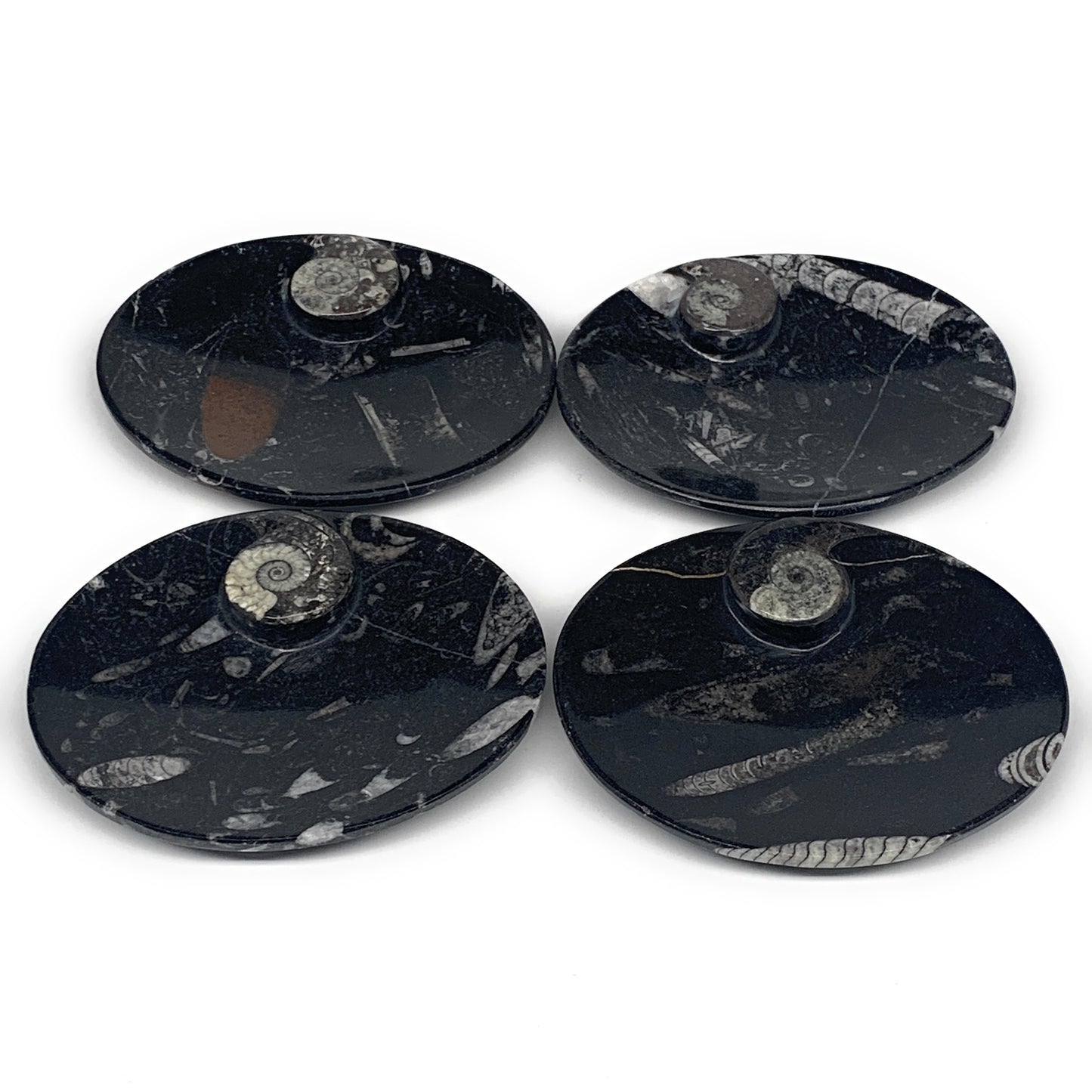 720g, 4pcs, 4.7"x3.8" Small Black Fossils Ammonite Orthoceras Bowl Oval Ring,B88
