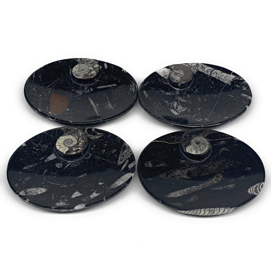 720g, 4pcs, 4.7"x3.8" Small Black Fossils Ammonite Orthoceras Bowl Oval Ring,B88