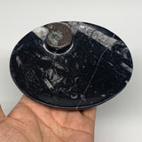 720g, 4pcs, 4.7"x3.8" Small Black Fossils Ammonite Orthoceras Bowl Oval Ring,B88