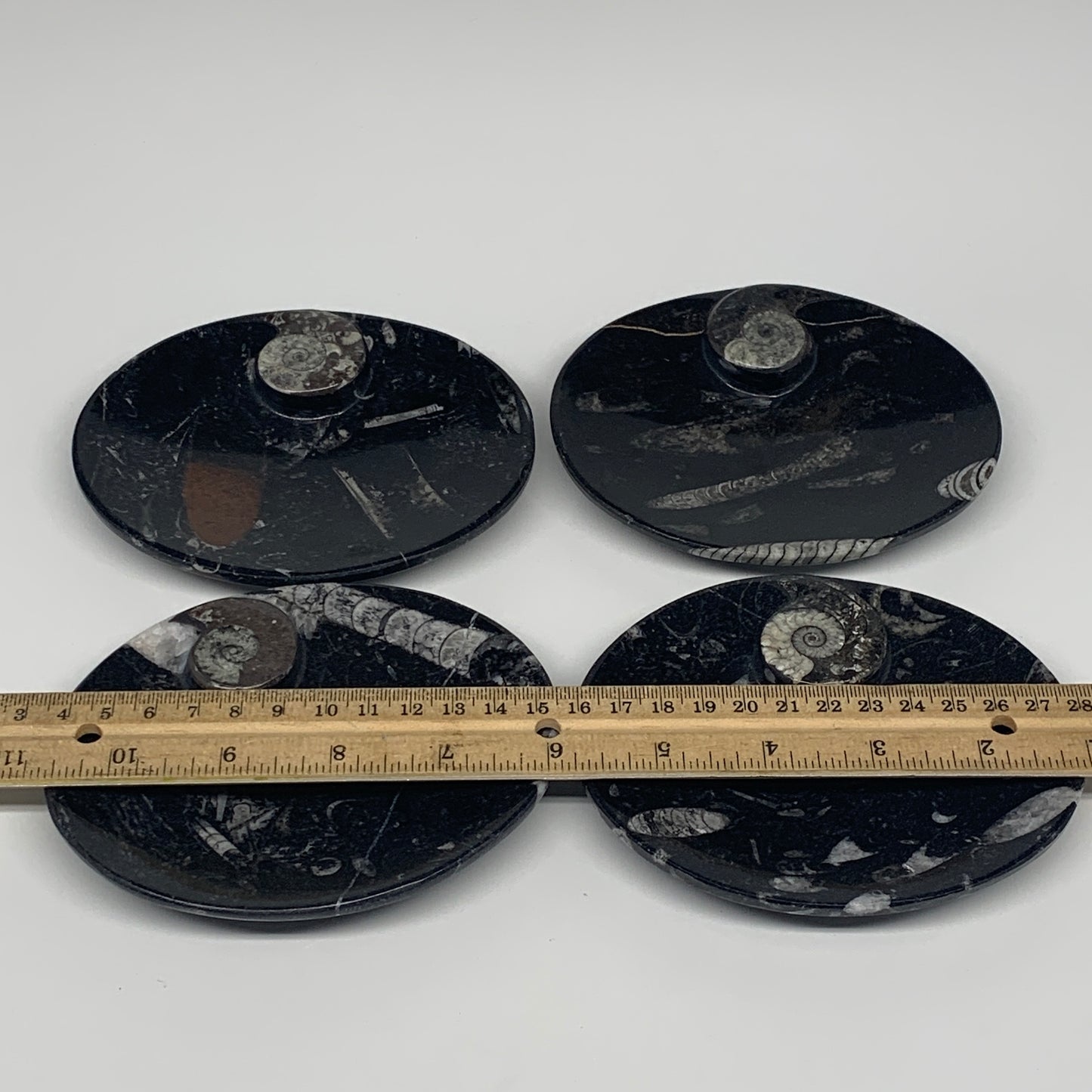 720g, 4pcs, 4.7"x3.8" Small Black Fossils Ammonite Orthoceras Bowl Oval Ring,B88