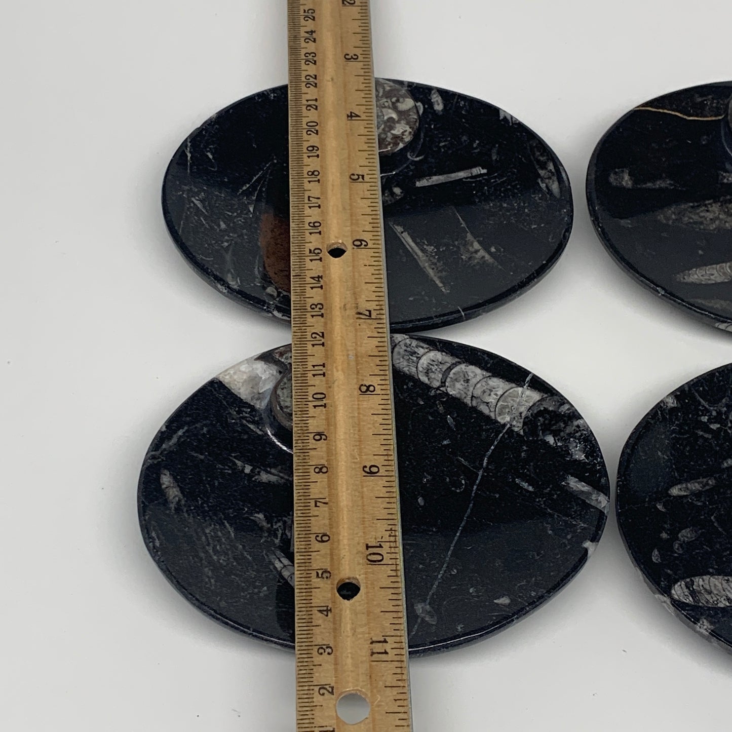 720g, 4pcs, 4.7"x3.8" Small Black Fossils Ammonite Orthoceras Bowl Oval Ring,B88