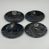 742g, 4pcs, 4.7"x3.8" Small Fossils Ammonite Orthoceras Bowl Oval Ring,B8858