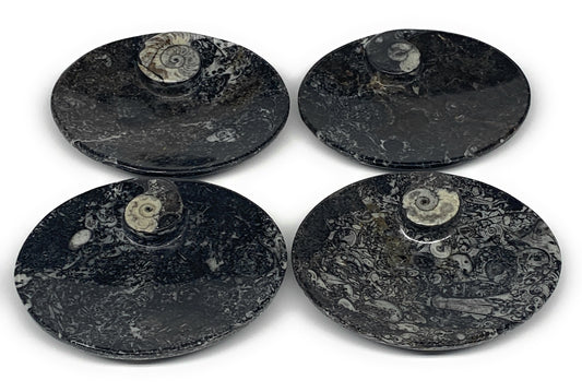 742g, 4pcs, 4.7"x3.8" Small Fossils Ammonite Orthoceras Bowl Oval Ring,B8858