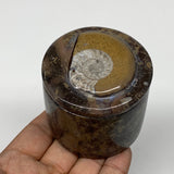 222.4g, 2.2"x2.4" Brown Fossils Ammonite Orthoceras Jewelry Box @Morocco,F2449