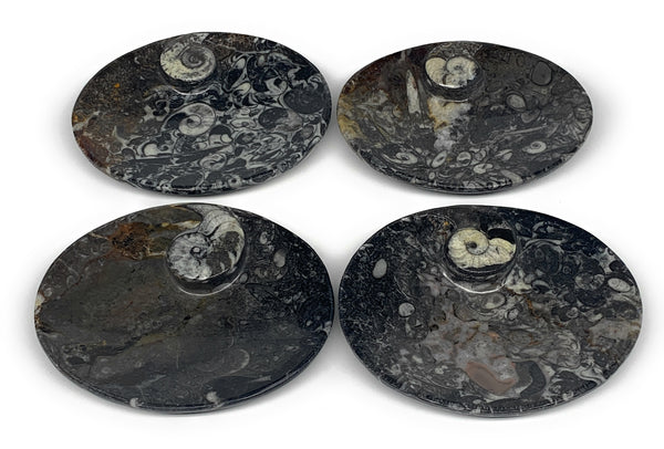 736g, 4pcs, 4.7"x3.8" Small Fossils Ammonite Orthoceras Bowl Oval Ring,B8859