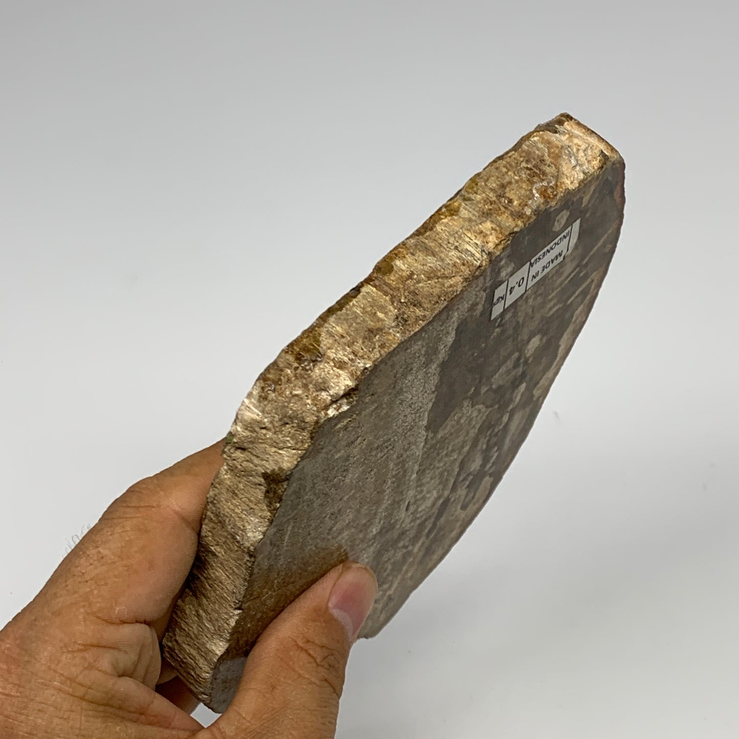 425g,5.7"x4.4"x0.7" Petrified Wood Slab Tree Branch Specimen, Minerals, B22683