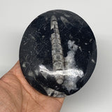 726g, 4pcs, 4.7"x3.8" Small Fossils Ammonite Orthoceras Bowl Oval Ring,B8861