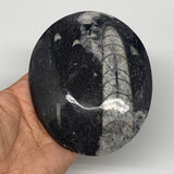 726g, 4pcs, 4.7"x3.8" Small Fossils Ammonite Orthoceras Bowl Oval Ring,B8861