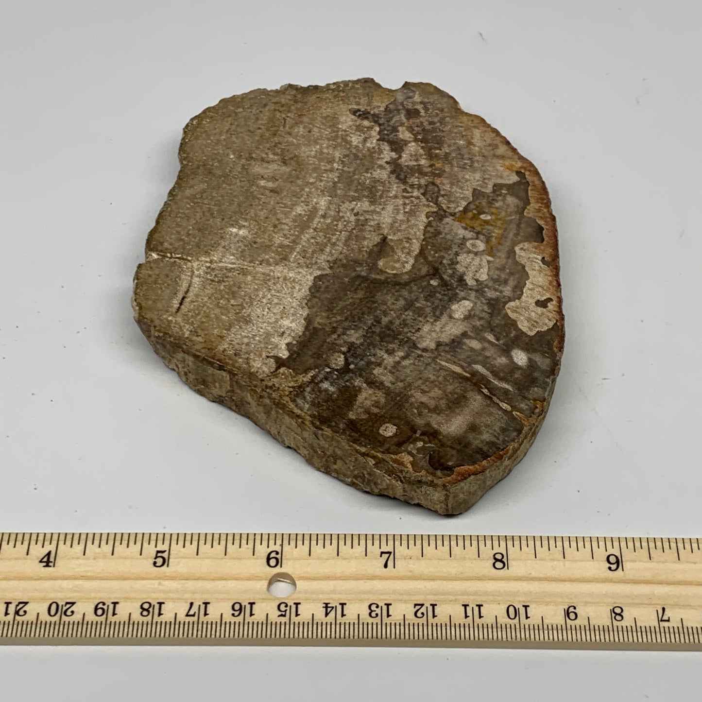 425g,5.7"x4.4"x0.7" Petrified Wood Slab Tree Branch Specimen, Minerals, B22683