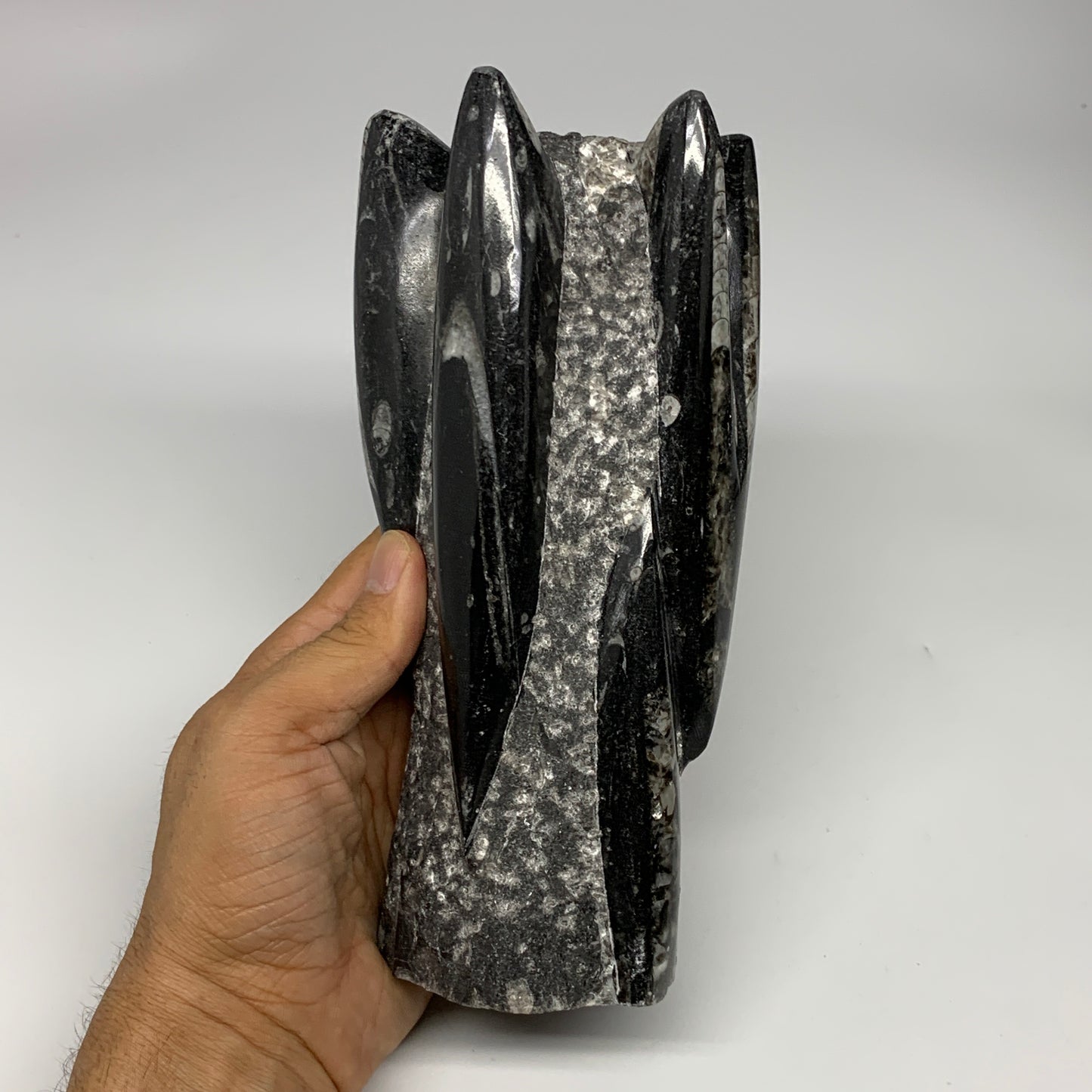 1385g, 7.5"x3.7"x2.8" Black Fossils Orthoceras Sculpture Tower @Morocco, B23442