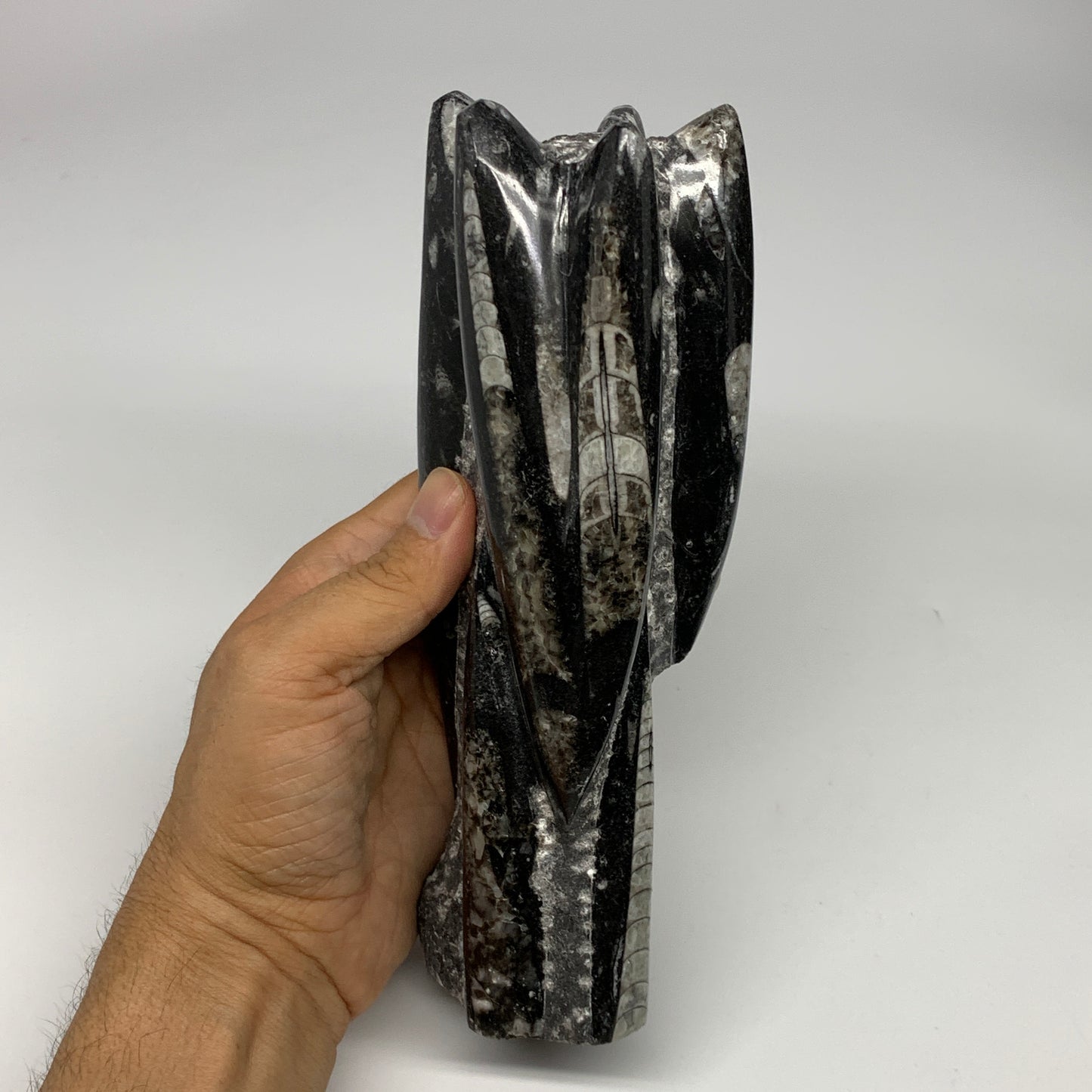 1385g, 7.5"x3.7"x2.8" Black Fossils Orthoceras Sculpture Tower @Morocco, B23442