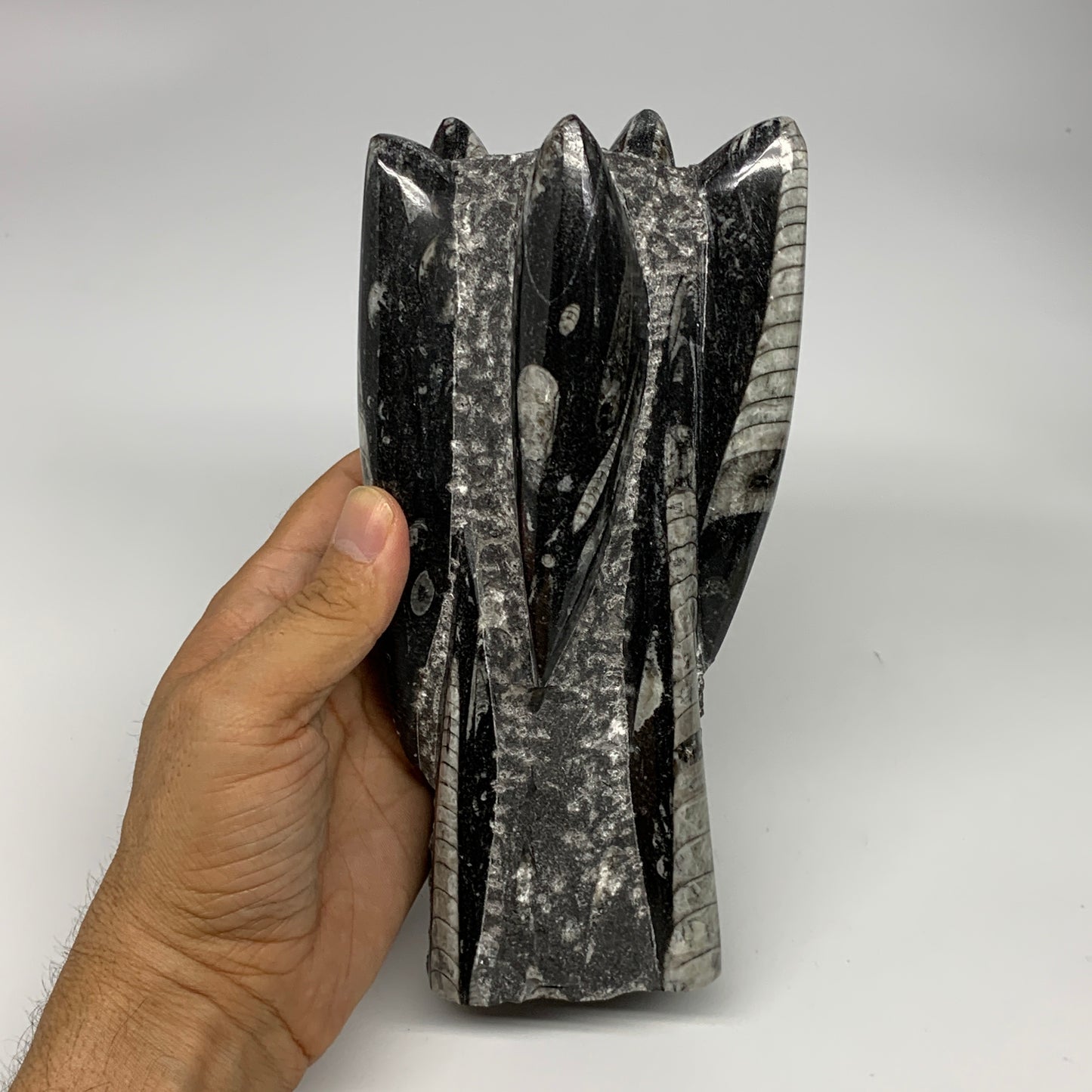 1385g, 7.5"x3.7"x2.8" Black Fossils Orthoceras Sculpture Tower @Morocco, B23442