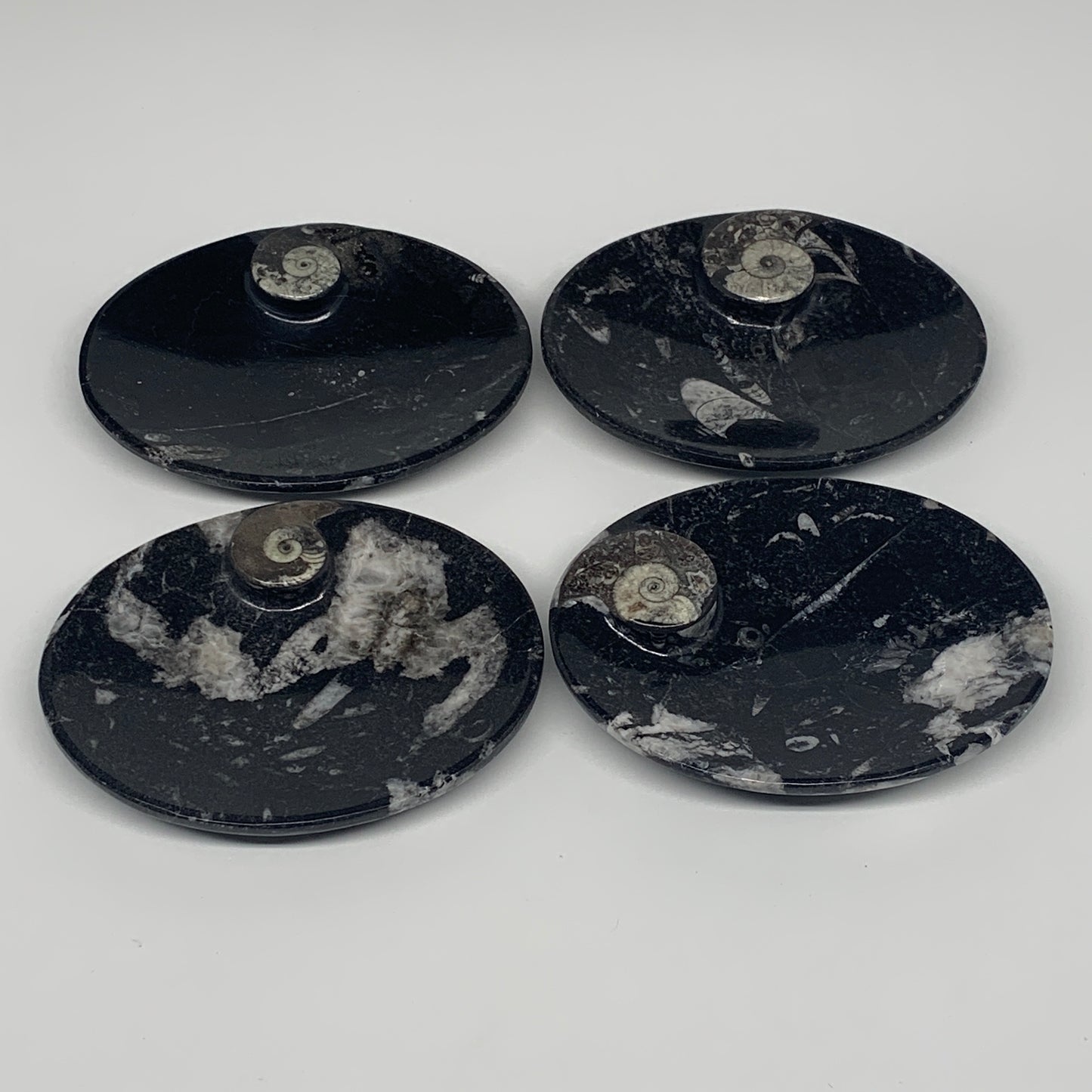 734g, 4pcs, 4.7"x3.8" Small Fossils Ammonite Orthoceras Bowl Oval Ring,B8862