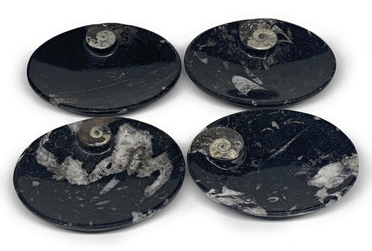 734g, 4pcs, 4.7"x3.8" Small Fossils Ammonite Orthoceras Bowl Oval Ring,B8862