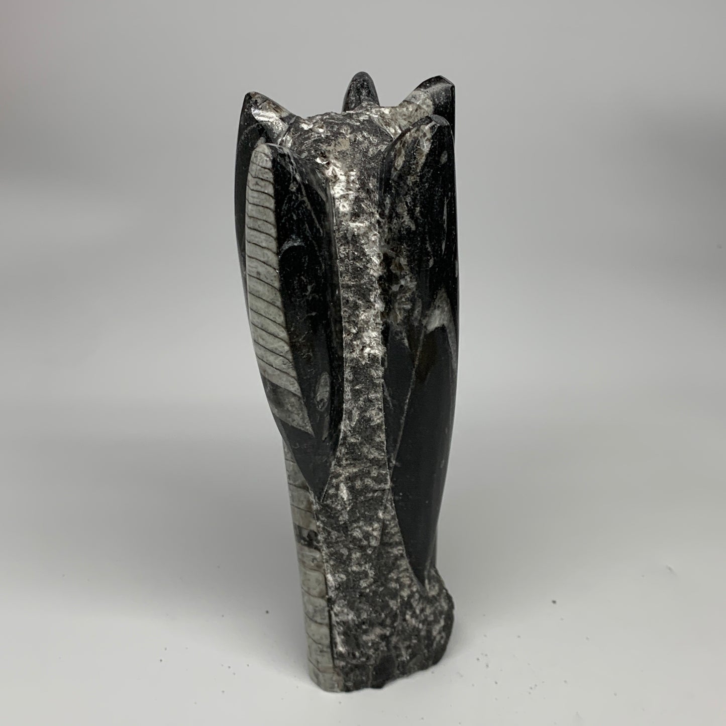 1385g, 7.5"x3.7"x2.8" Black Fossils Orthoceras Sculpture Tower @Morocco, B23442