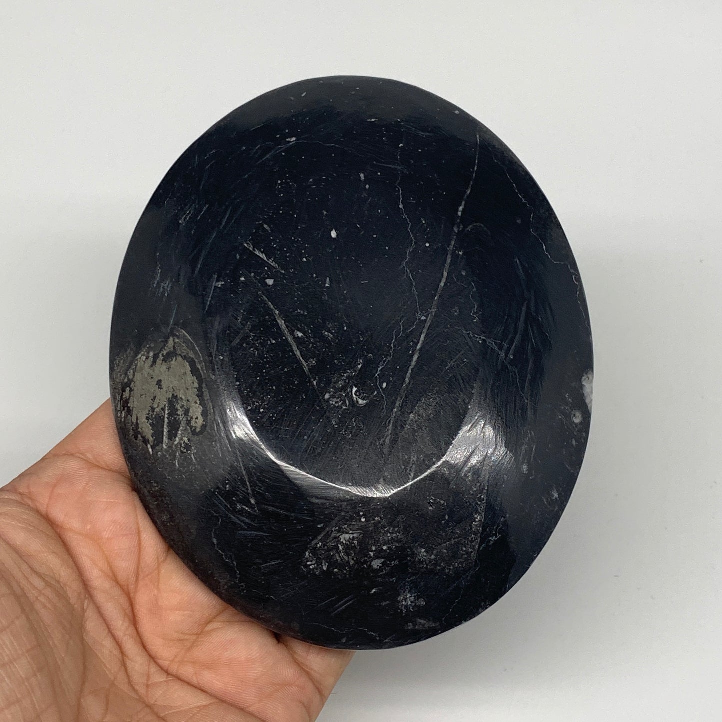 734g, 4pcs, 4.7"x3.8" Small Fossils Ammonite Orthoceras Bowl Oval Ring,B8862