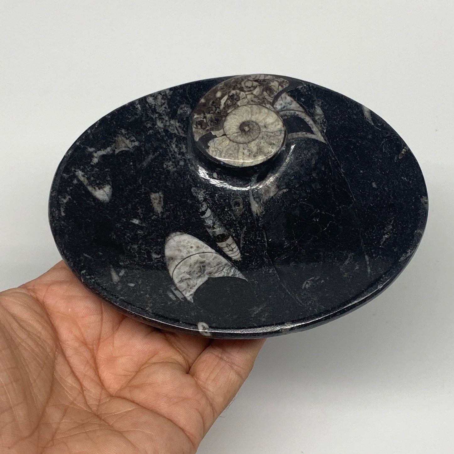 734g, 4pcs, 4.7"x3.8" Small Fossils Ammonite Orthoceras Bowl Oval Ring,B8862