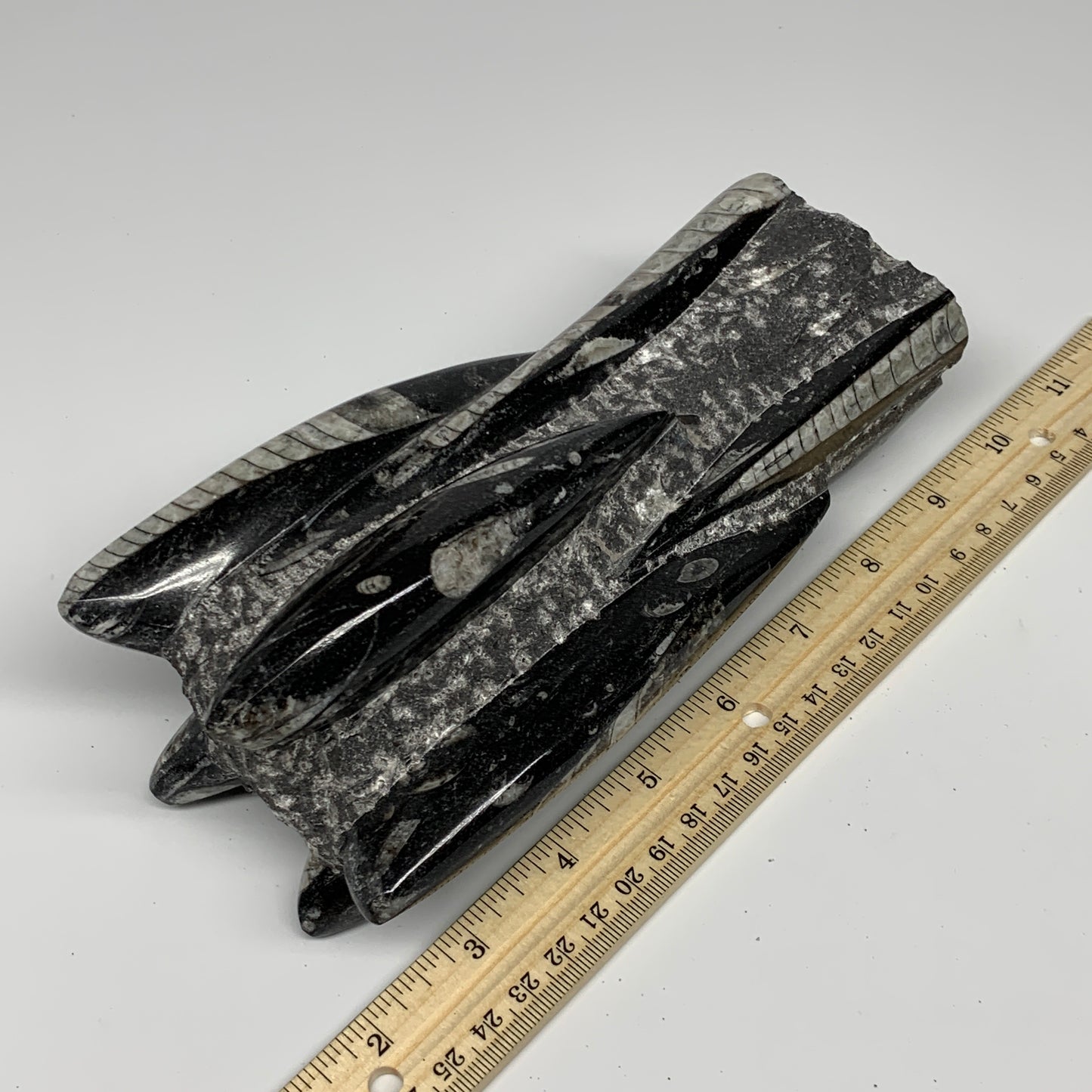 1385g, 7.5"x3.7"x2.8" Black Fossils Orthoceras Sculpture Tower @Morocco, B23442