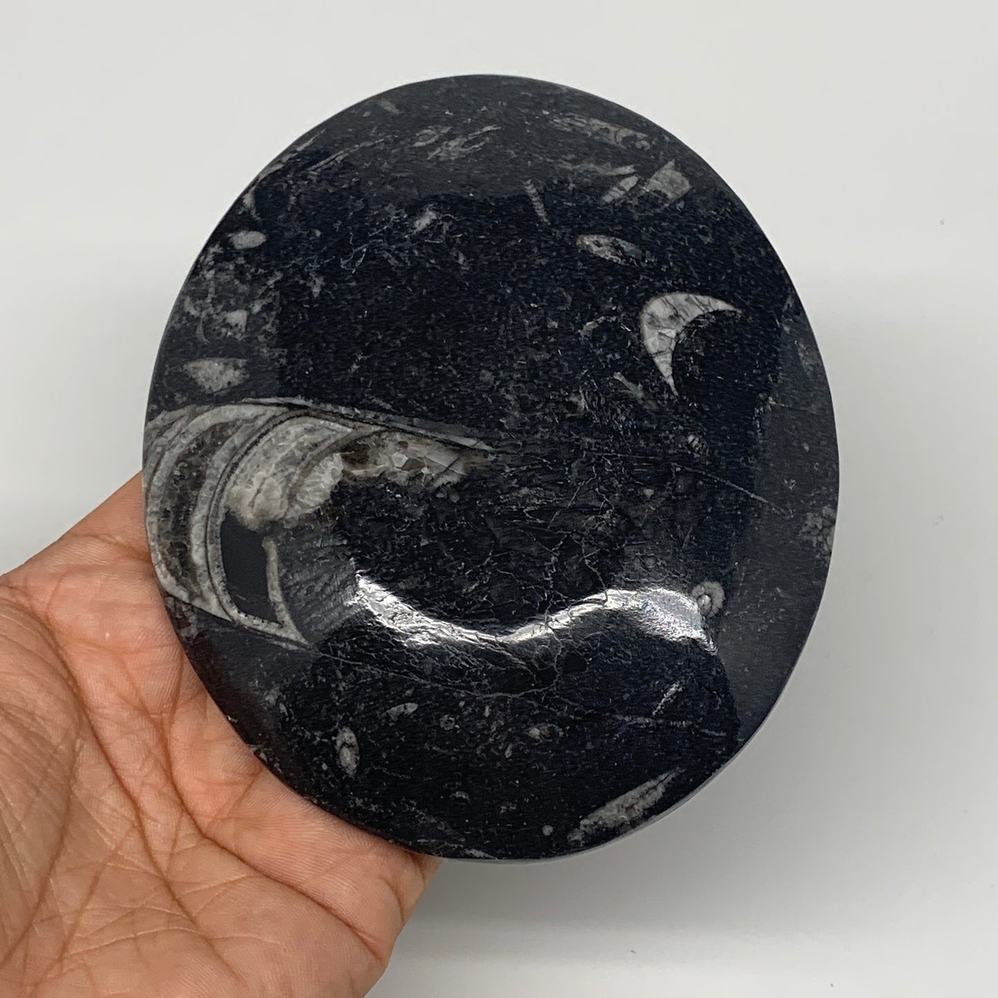 734g, 4pcs, 4.7"x3.8" Small Fossils Ammonite Orthoceras Bowl Oval Ring,B8862