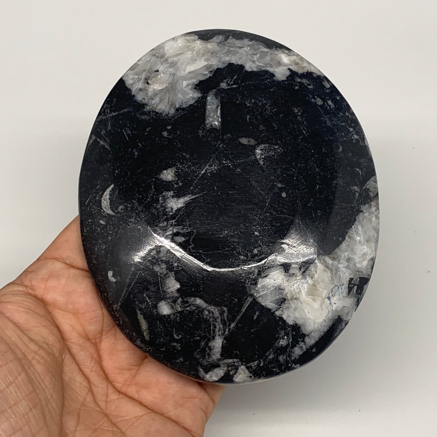 734g, 4pcs, 4.7"x3.8" Small Fossils Ammonite Orthoceras Bowl Oval Ring,B8862