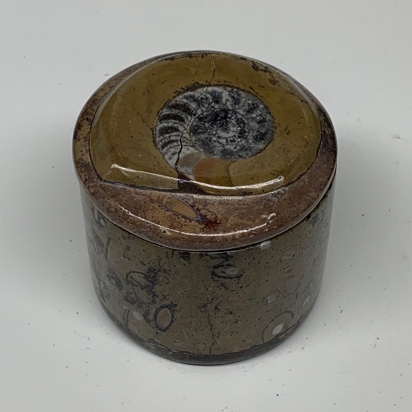 238g, 2.2"x2.4" Brown Fossils Ammonite Orthoceras Jewelry Box @Morocco,F2454