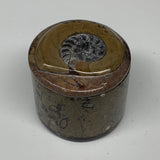 238g, 2.2"x2.4" Brown Fossils Ammonite Orthoceras Jewelry Box @Morocco,F2454