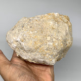 2.48Lbs,5.1"x4.6"x3.4", 1 Pair, Natural Quartz Geodes Sculpture @Morocco,B10547