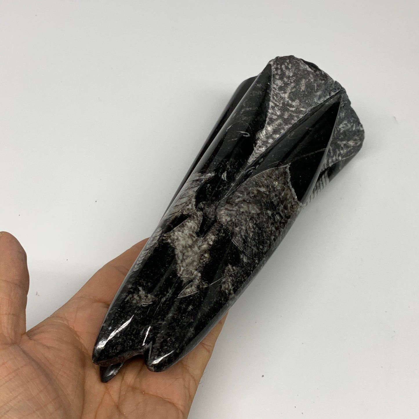 1050g, 7.8"x3.1"x2.5" Black Fossils Orthoceras Sculpture Tower @Morocco, B23444