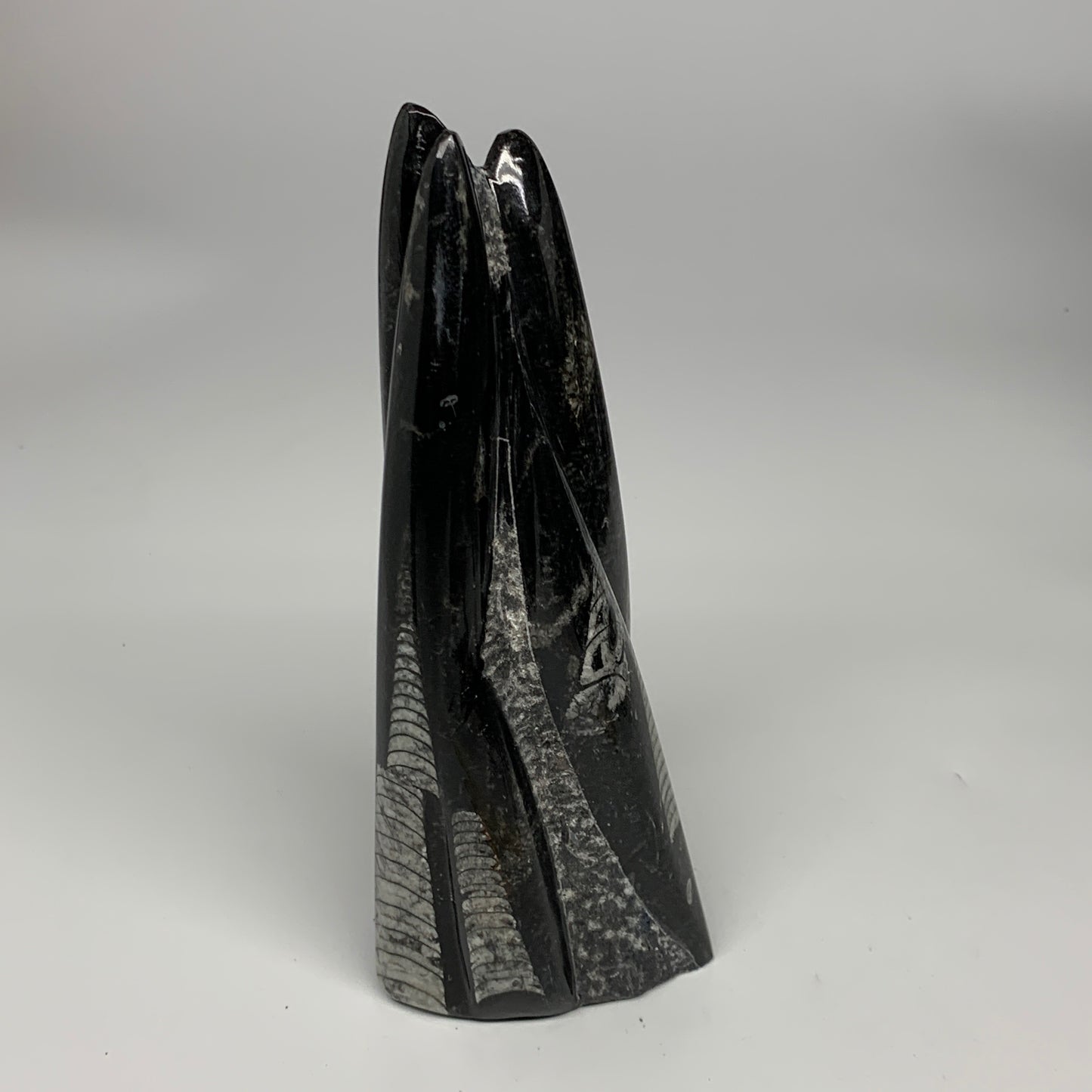 1050g, 7.8"x3.1"x2.5" Black Fossils Orthoceras Sculpture Tower @Morocco, B23444