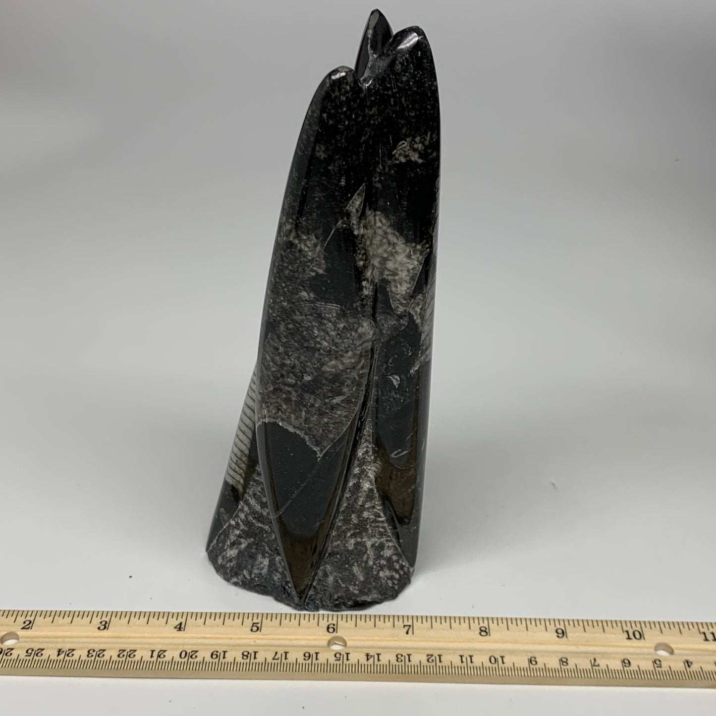 1050g, 7.8"x3.1"x2.5" Black Fossils Orthoceras Sculpture Tower @Morocco, B23444