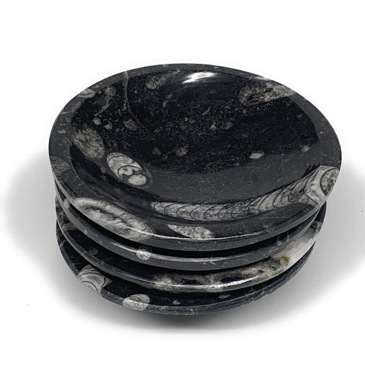 970g, 4pcs, 4.3" Small Fossils Ammonite Orthoceras Bowl Round Shape, B8864