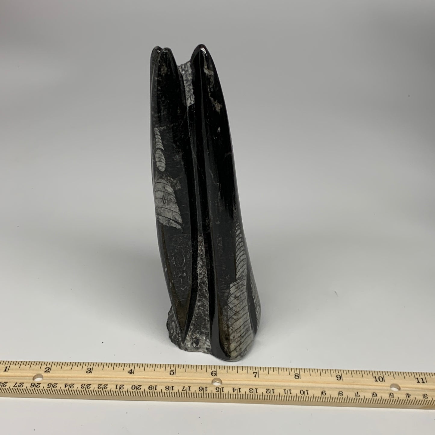 1050g, 7.8"x3.1"x2.5" Black Fossils Orthoceras Sculpture Tower @Morocco, B23444