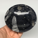 970g, 4pcs, 4.3" Small Fossils Ammonite Orthoceras Bowl Round Shape, B8864