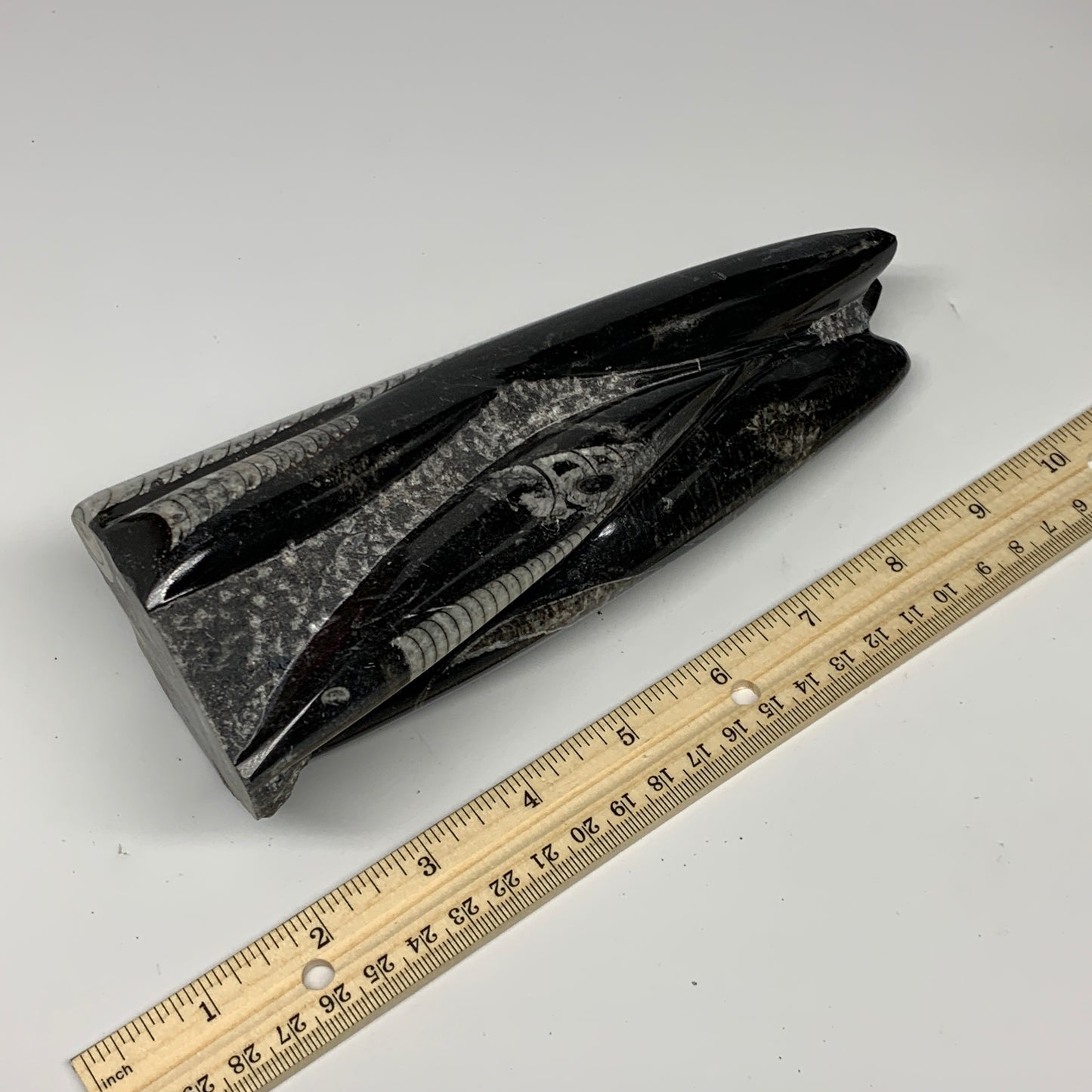 1050g, 7.8"x3.1"x2.5" Black Fossils Orthoceras Sculpture Tower @Morocco, B23444