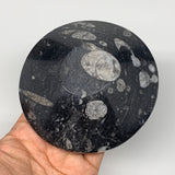 940g, 4pcs, 4.3" Small Fossils Ammonite Orthoceras Bowl Round Shape, B8866
