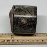 223.1g, 2.2"x2.4" Brown Fossils Ammonite Orthoceras Jewelry Box @Morocco,F2459