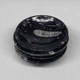 930g, 4pcs, 4.3" Small Fossils Ammonite Orthoceras Bowl Round Shape, B8867